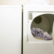 Image for article titled Deadline For Prior User To Remove Clothes From Dryer Extended 5 Minutes